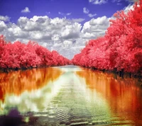 Paysage à couper le souffle teinté de rose se reflétant sur des eaux calmes