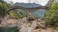 plante, eau, nuage, ressources en eau, montagne