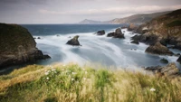 Hautes terres côtières sereines avec des eaux courantes et des affleurements rocheux