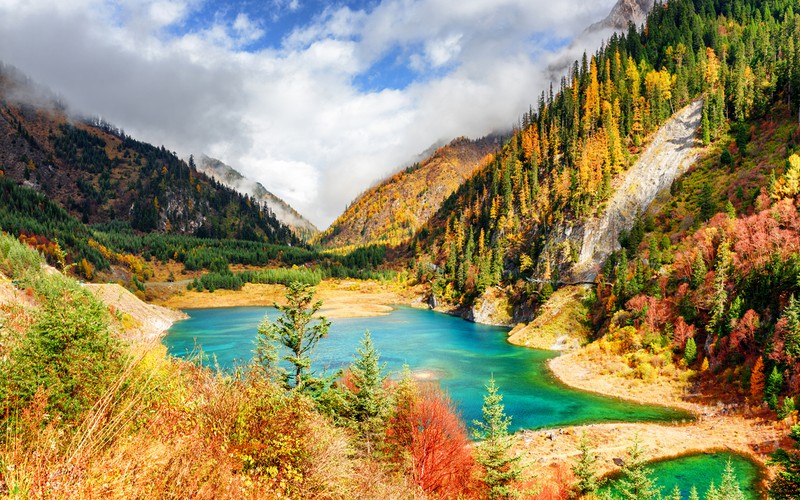 Вид на горное озеро, окруженное деревьями и горами (цзючжайгоу, jiuzhaigou, парк, природа, национальный парк)