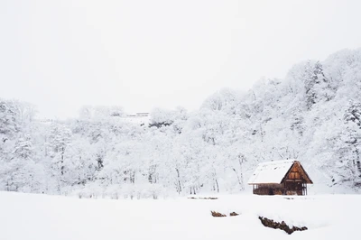 Snow-Covered House Amidst a Winter Landscape