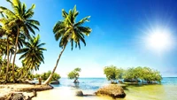 Paradis tropical de plage avec des palmiers et un océan bleu clair