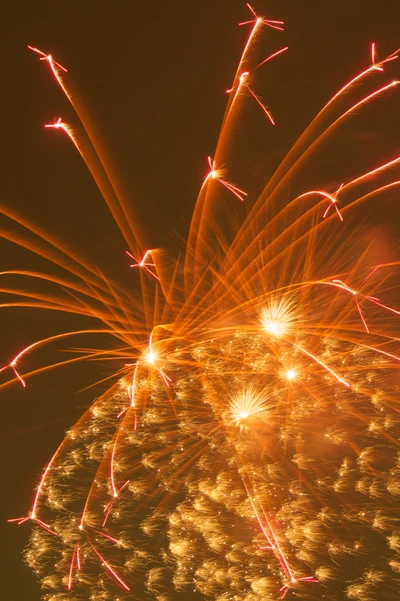 Vibrant Fireworks Lighting Up the Night Sky