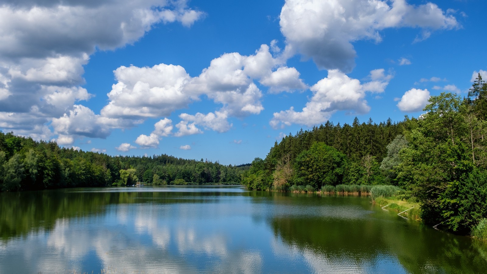 Une vue sur un lac avec une forêt en arrière-plan (réflexion, nuage, eau, journée, plante)