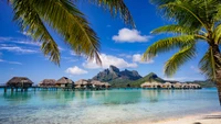 Tropical lagoon with overwater villas and palm trees beneath a vibrant sky.