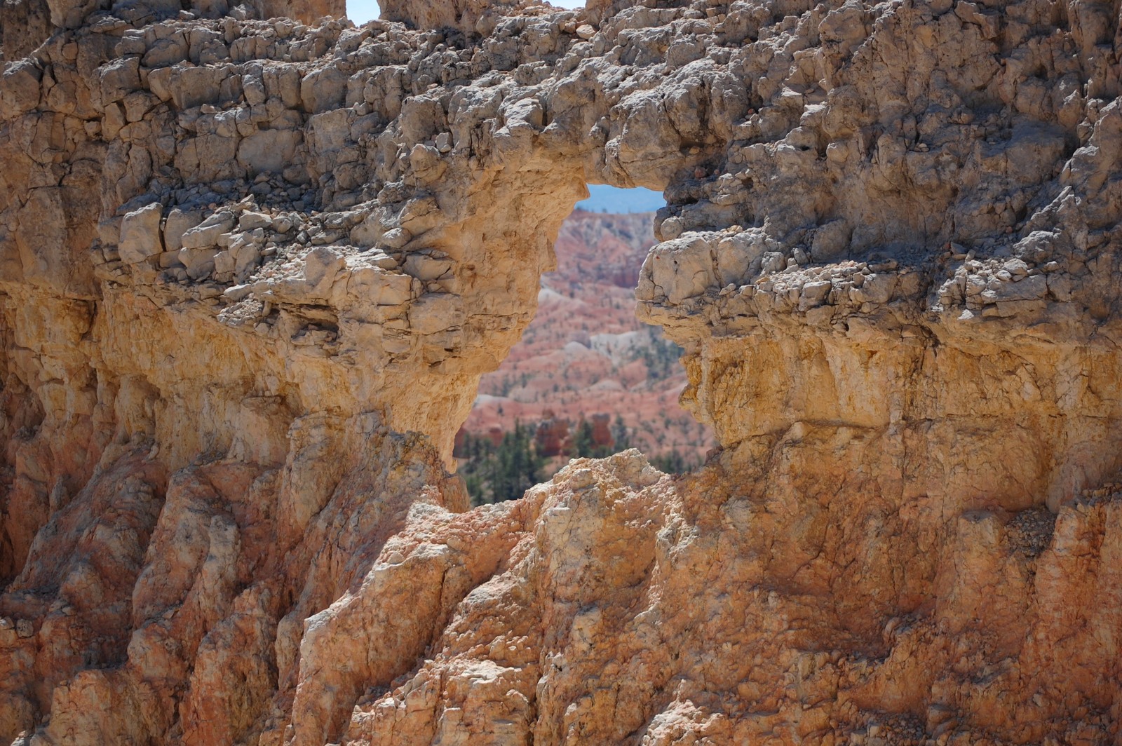 Aras, die von einer felsformation in den bergen schauen (canyon, geologie, felsvorsprung, fels, formation)