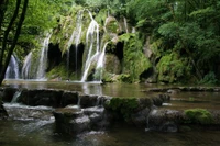 Serene Waterfall Cascading into a Tranquil Stream Surrounded by Lush Vegetation