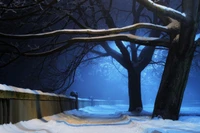 Noite de inverno iluminada pela lua: árvores cobertas de neve e caminho tranquilo