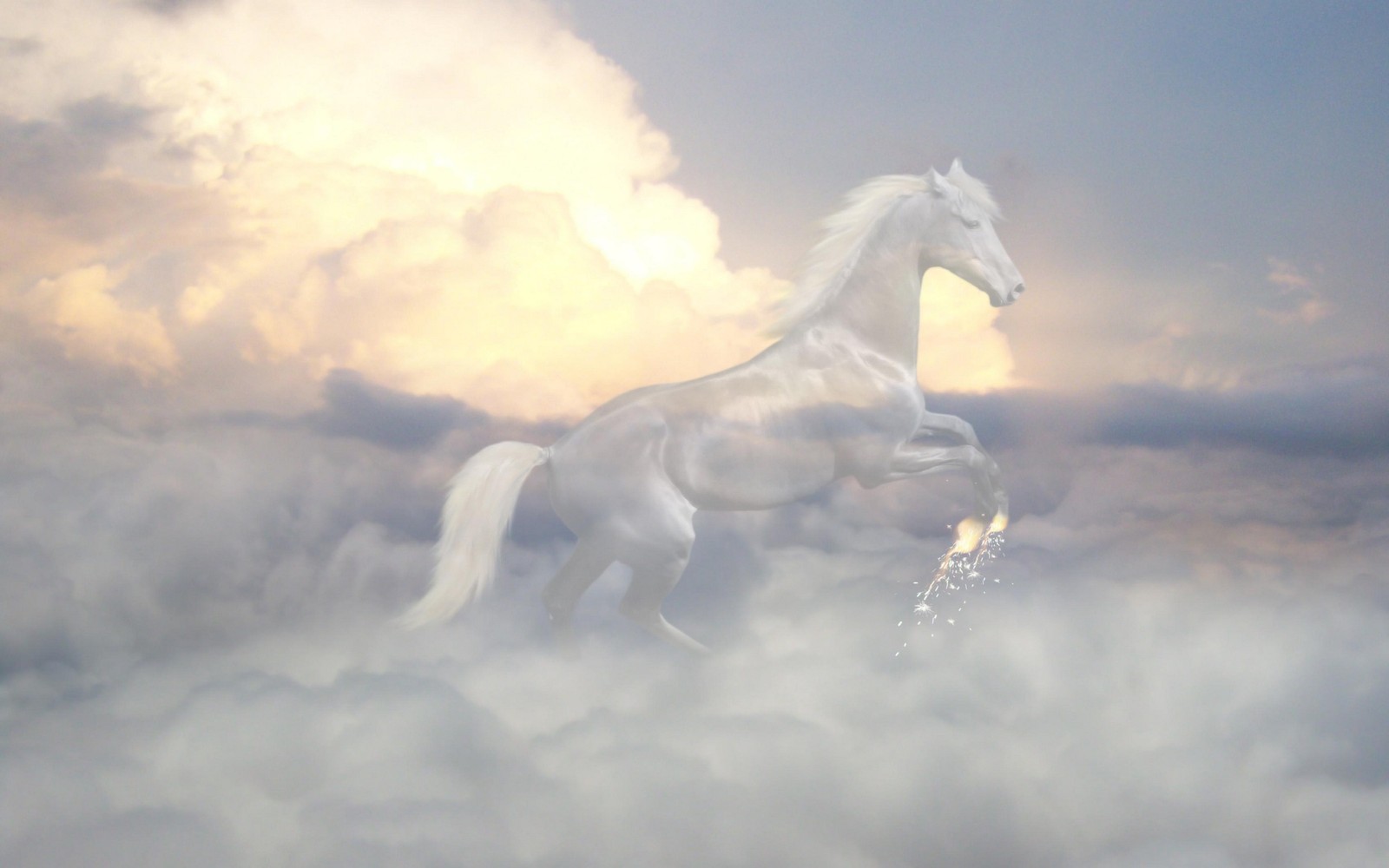 There is a white horse that is standing in the clouds (horse, cloud, mane, stallion, mustang horse)