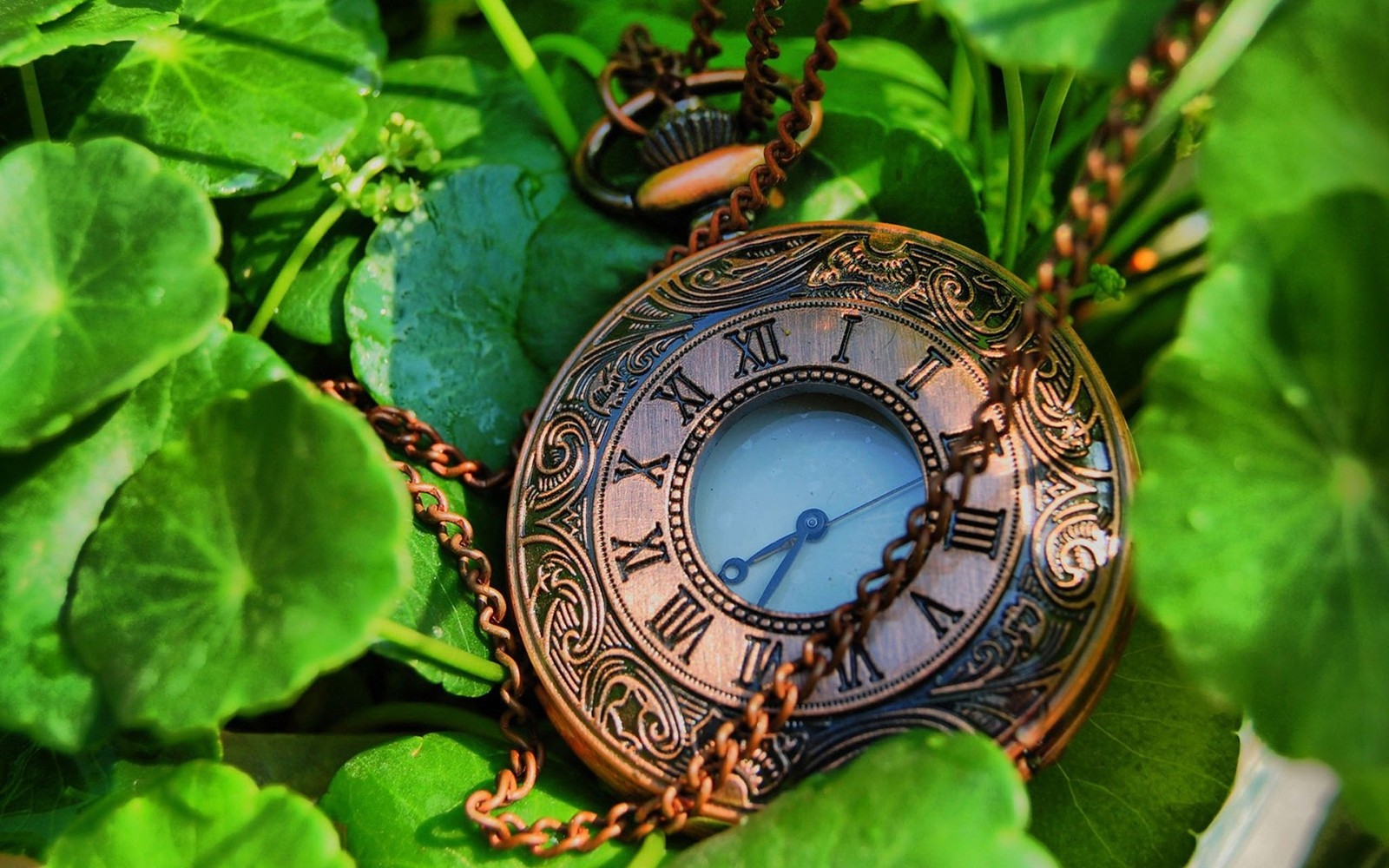 pocket watch, jewellery, omega sa Download Wallpaper