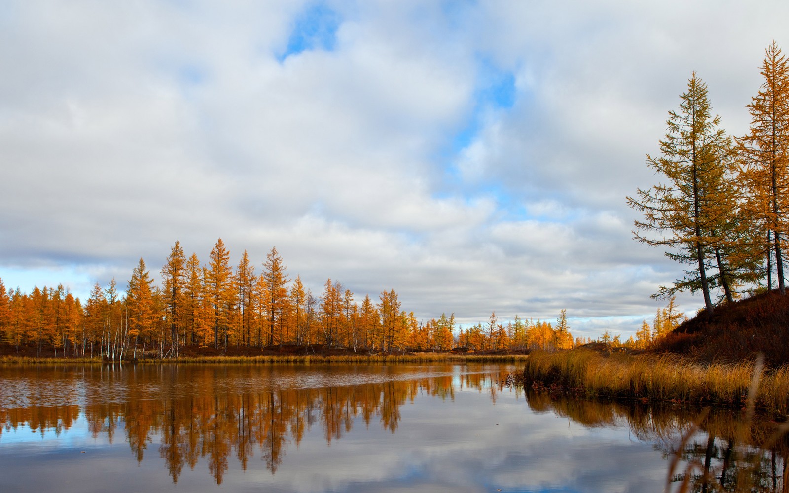 Uma vista de um lago com algumas árvores ao fundo (reflexo, árvore, natureza, água, folha)