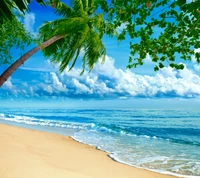 playa, belleza, genial, hd