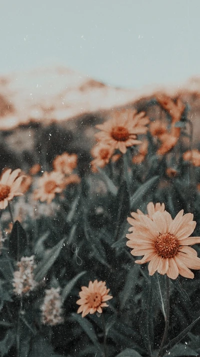 Suaves flores de girasol en una escena natural tranquila