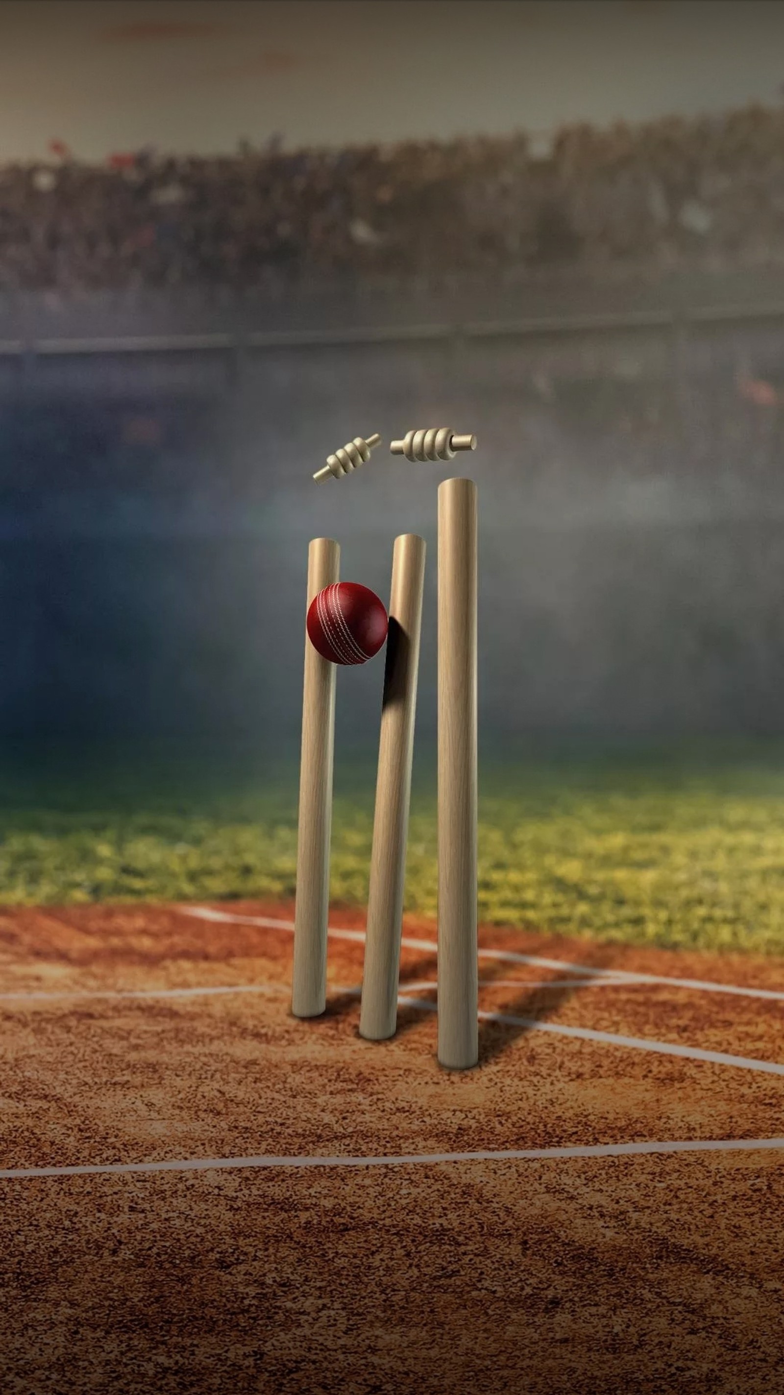 Una pelota de cricket golpeando un palo en el campo (críquet, deseos)