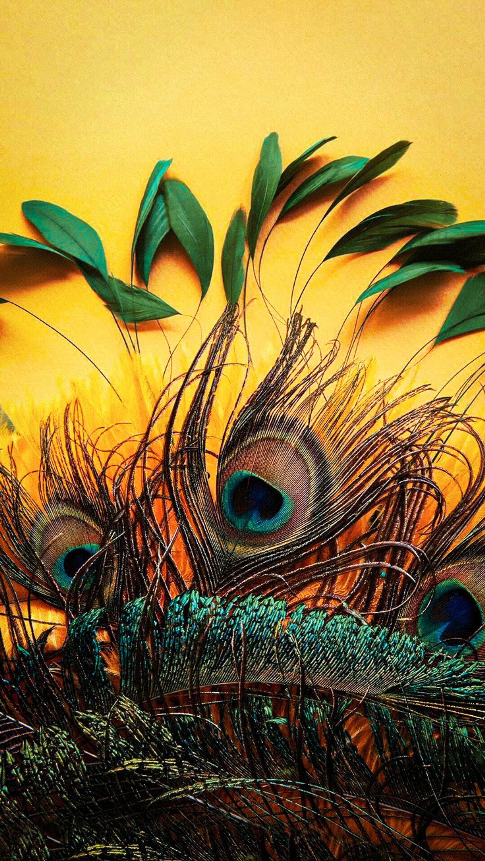 Hay muchas plumas de pavo real sobre un fondo amarillo con hojas verdes (arte, colores, pluma, dios, señor)