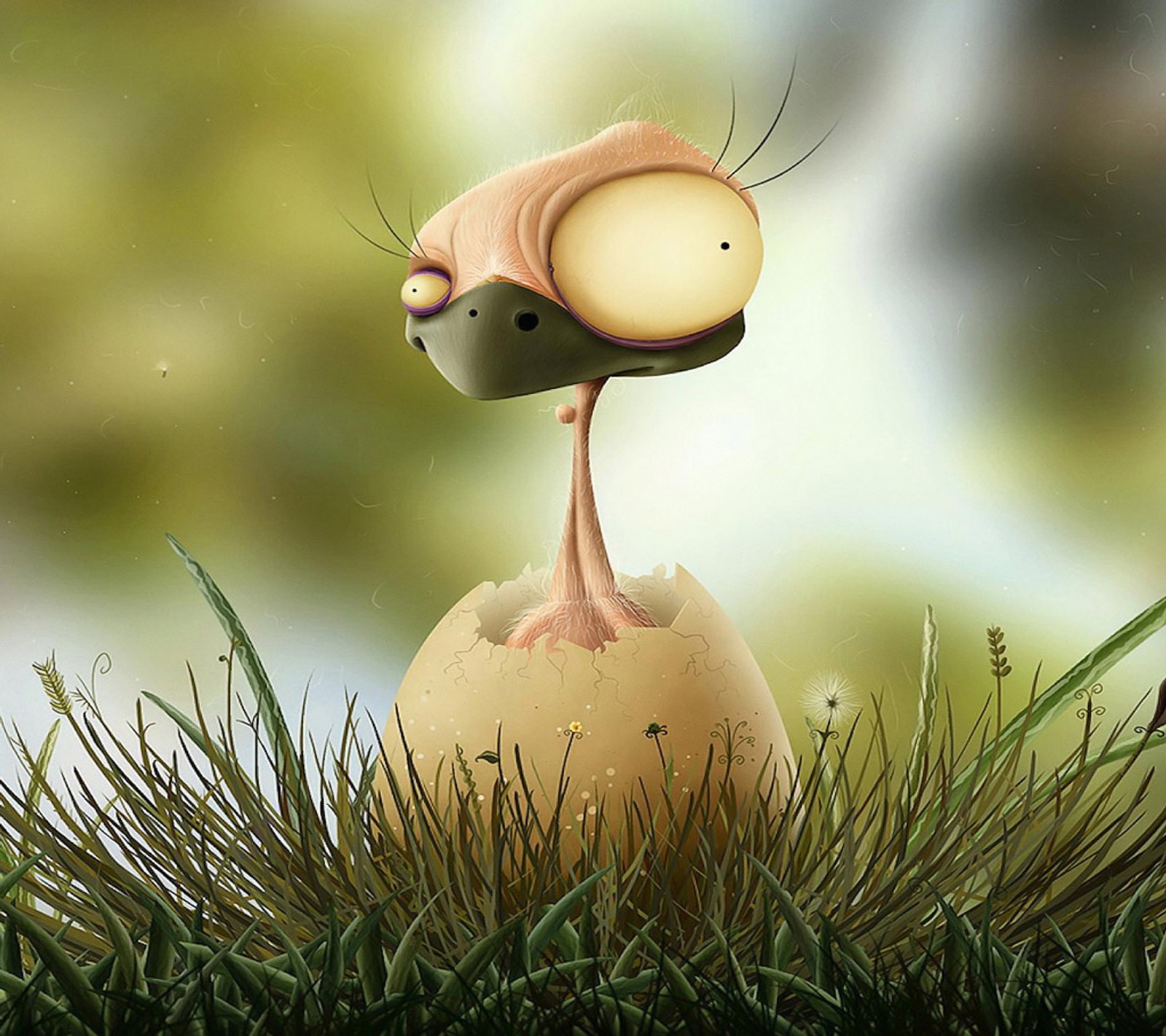 duck, funny, hatched, ugly wallpaper