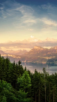 Paisagem montanhosa serena aninhada em uma floresta exuberante