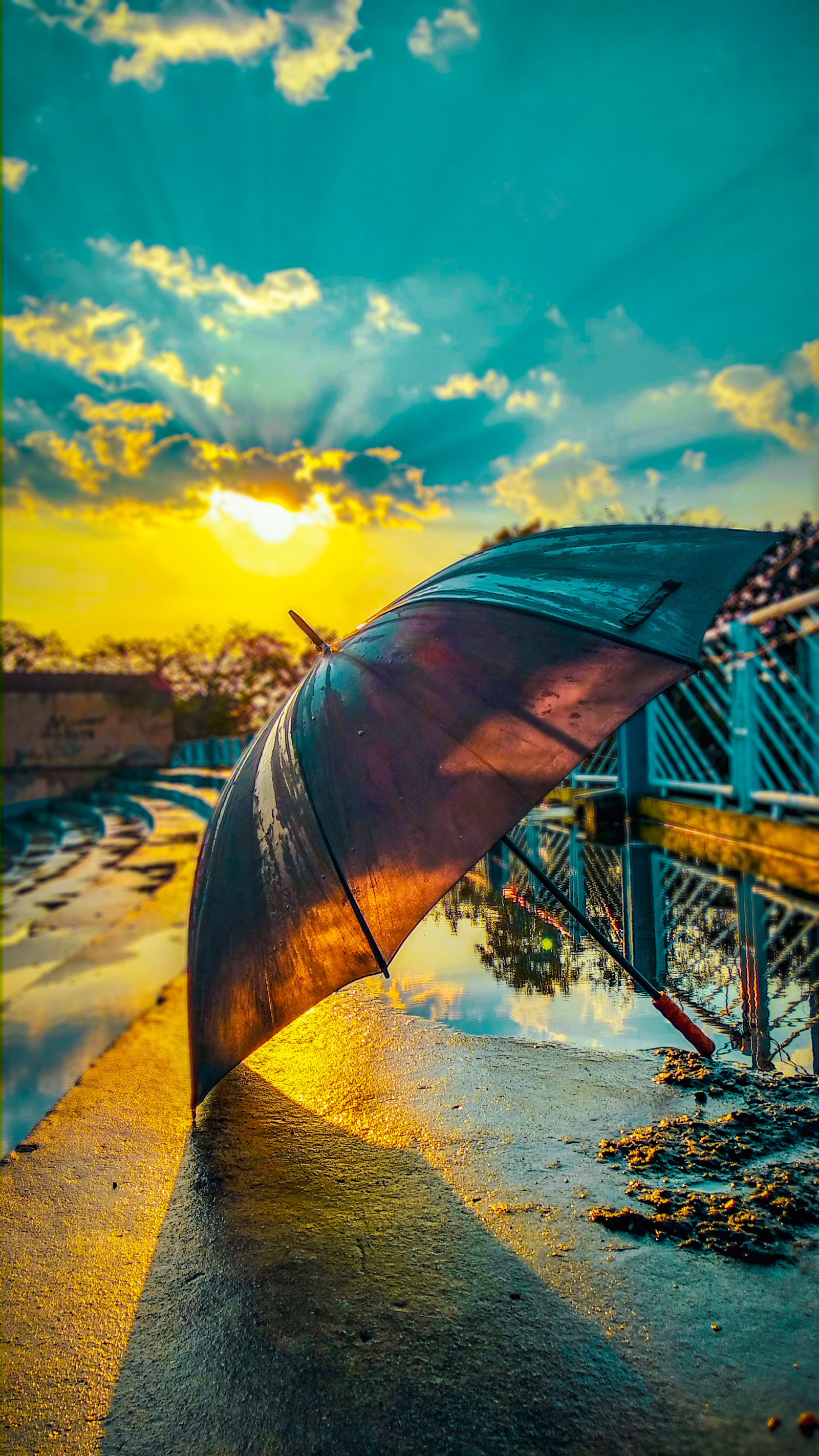 Ein regenschirm, der am wasser auf dem boden steht (brücke, oper, regen, regenschirm, regenschirme)