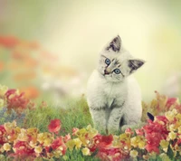 Adorable kitten surrounded by vibrant flowers in a soft, dreamy landscape.