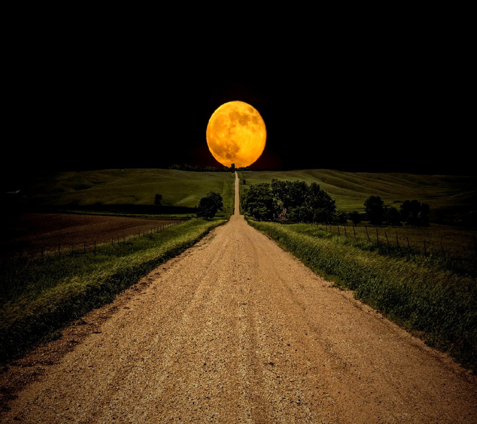 A close up of a dirt road with a full moon in the background (nature)