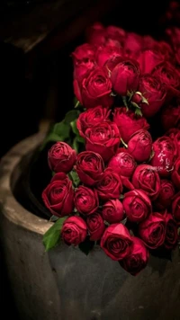 Rosas rojas vibrantes en una maceta de piedra