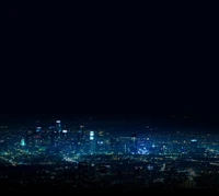 Lebendige Nachtlandschaft einer Stadt-Skyline