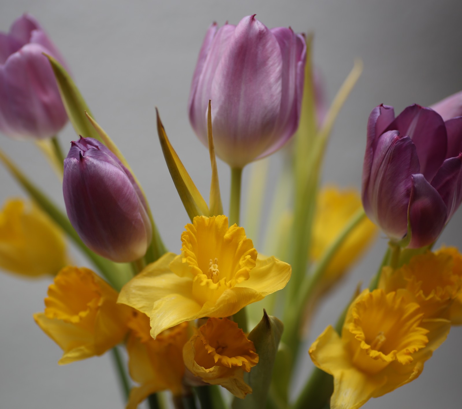 Il y a beaucoup de fleurs différentes dans un vase sur la table (fleur, geburtstag, strauss)