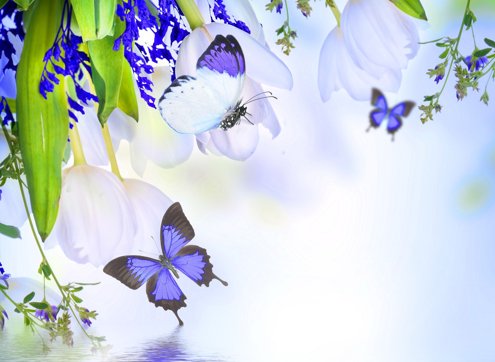 art, beautiful, butterflies, floral, flowers Download Wallpaper