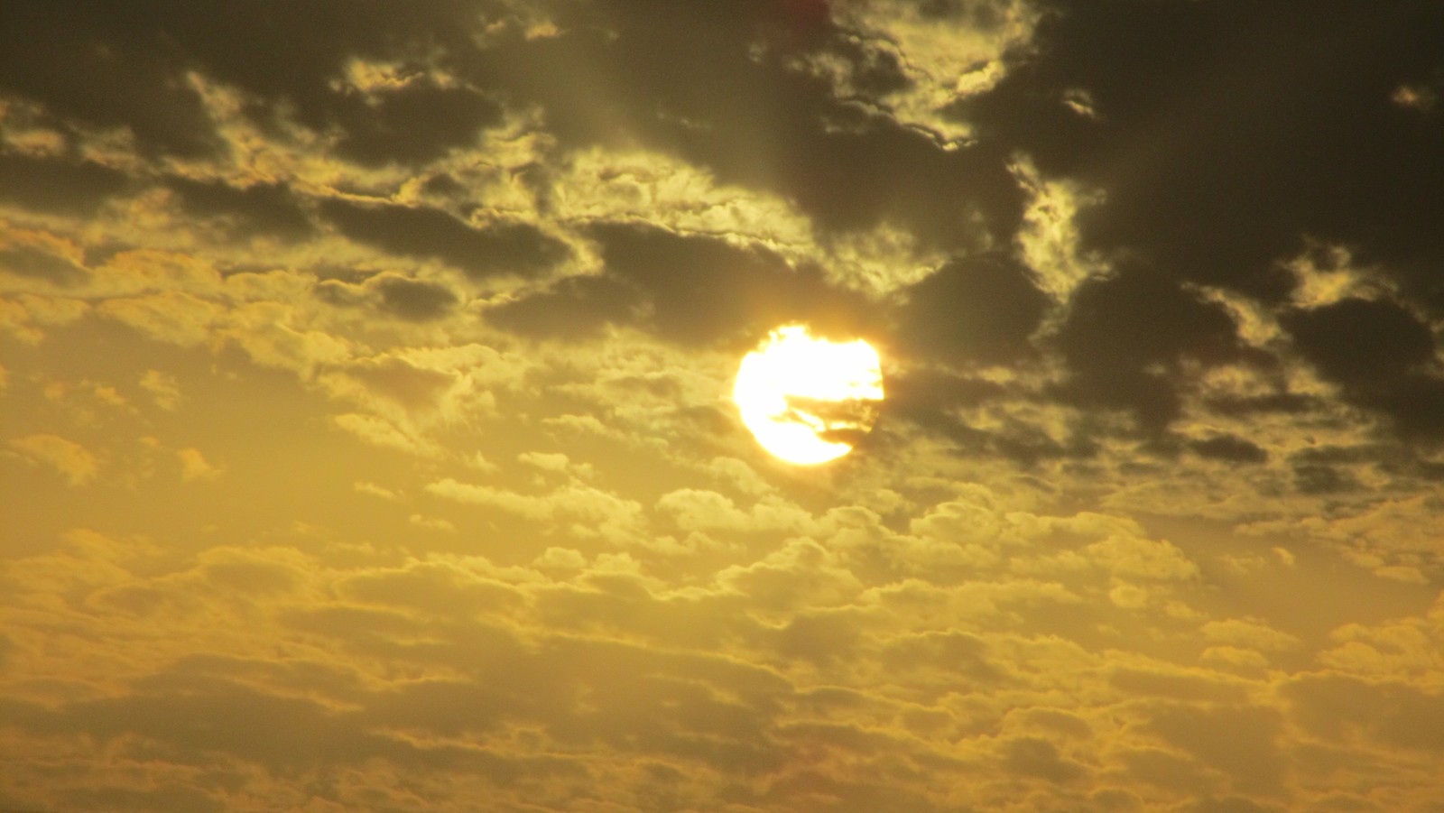 Des girafes volant dans le ciel avec un soleil en arrière-plan (lever de soleil, horizon, matin, soleil, nuage)