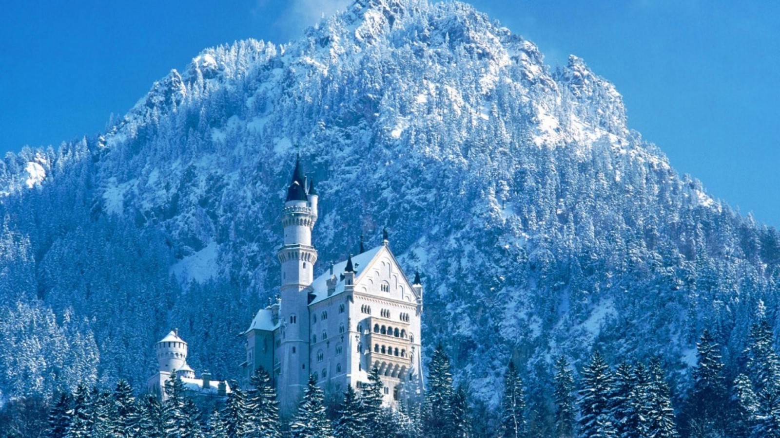 Eine nahaufnahme eines schlosses inmitten eines schneebedeckten berges. (schloss neuschwanstein, burg, winter, wahrzeichen, natur)