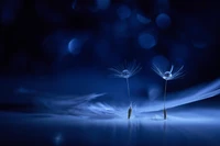 Delicadas flores de diente de león con gotas de agua sobre un fondo bokeh azul de ensueño