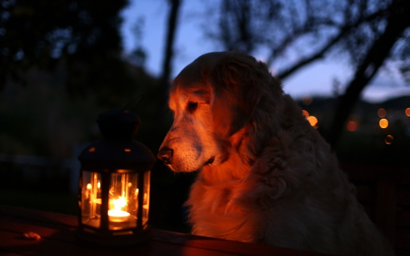 Lade beleuchtung, hitze, nacht, feuer, abend Hintergrund herunter