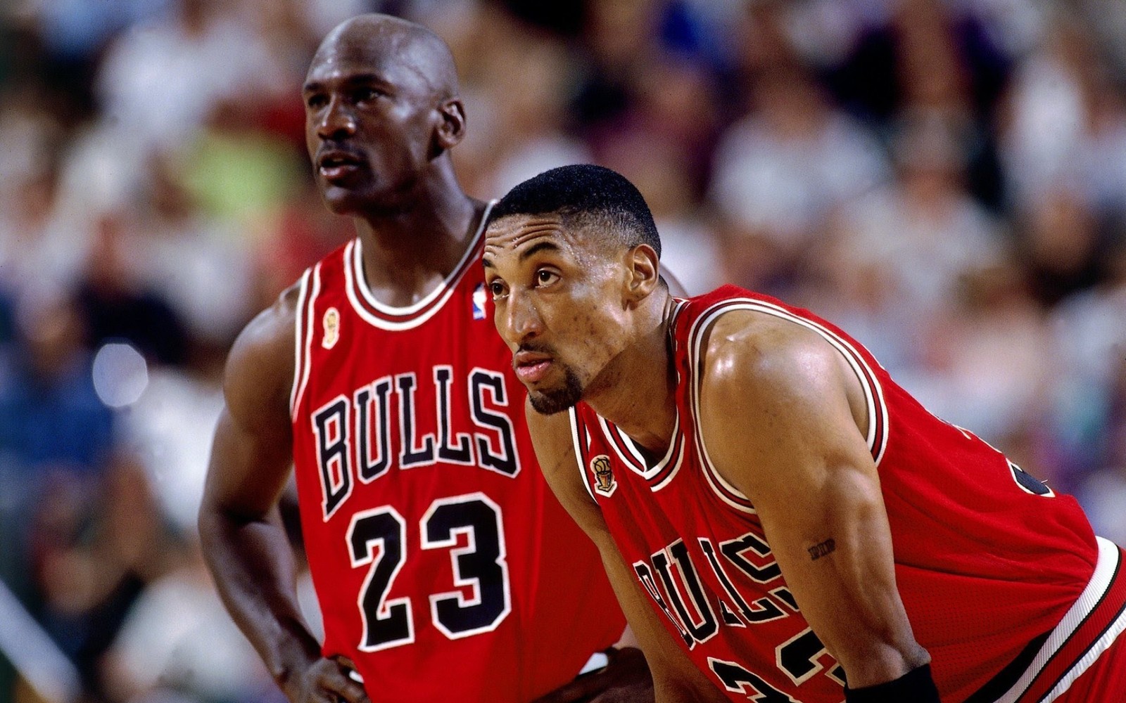 Bulls guard guard michael jordan and guard michael jordan during a game (chicago bulls, nba, basketball, basketball player, sports)