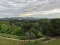 biom, buschland, vegetation, wolke, pflanzengemeinschaft