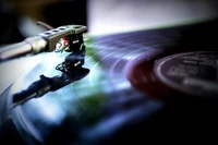 Close-Up of a Phonograph Needle on a Spinning Vinyl Record