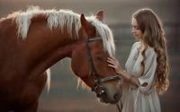 caballo blanco, caballo árabe, pony, cabello, caballo