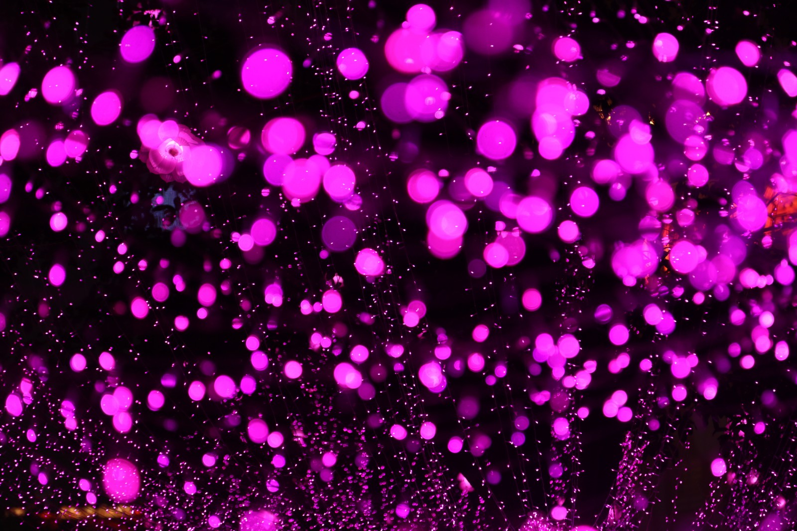 Purple lights are shining brightly in the dark (night, pink, purple, magenta, glitter)