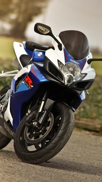 Suzuki Sport Bike with Sleek Design and Performance Tires