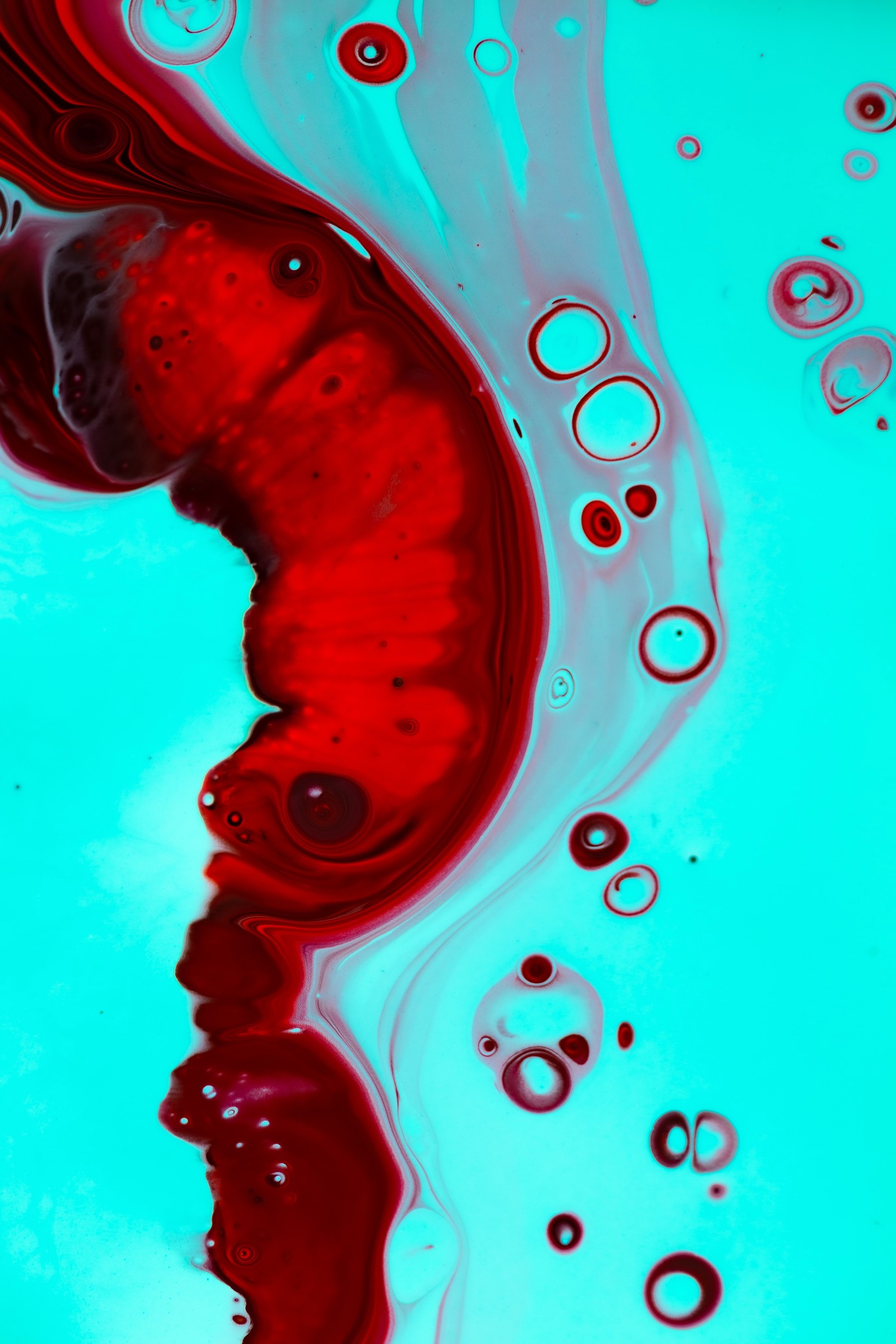 A close up of a red jelly floating in a blue liquid (water, painting, liquid, visual arts, graphic design)