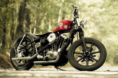 Motocicleta Bobber personalizada en un entorno natural