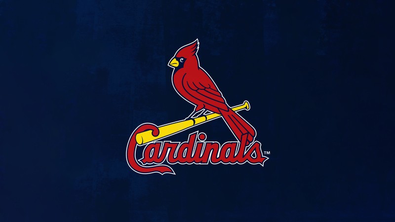 Близкий план красной птицы с бейсбольной битой на синем фоне (st louis cardinals, бейсбольная команда, майор лига бейсбола mlb, 5k, темно синий)