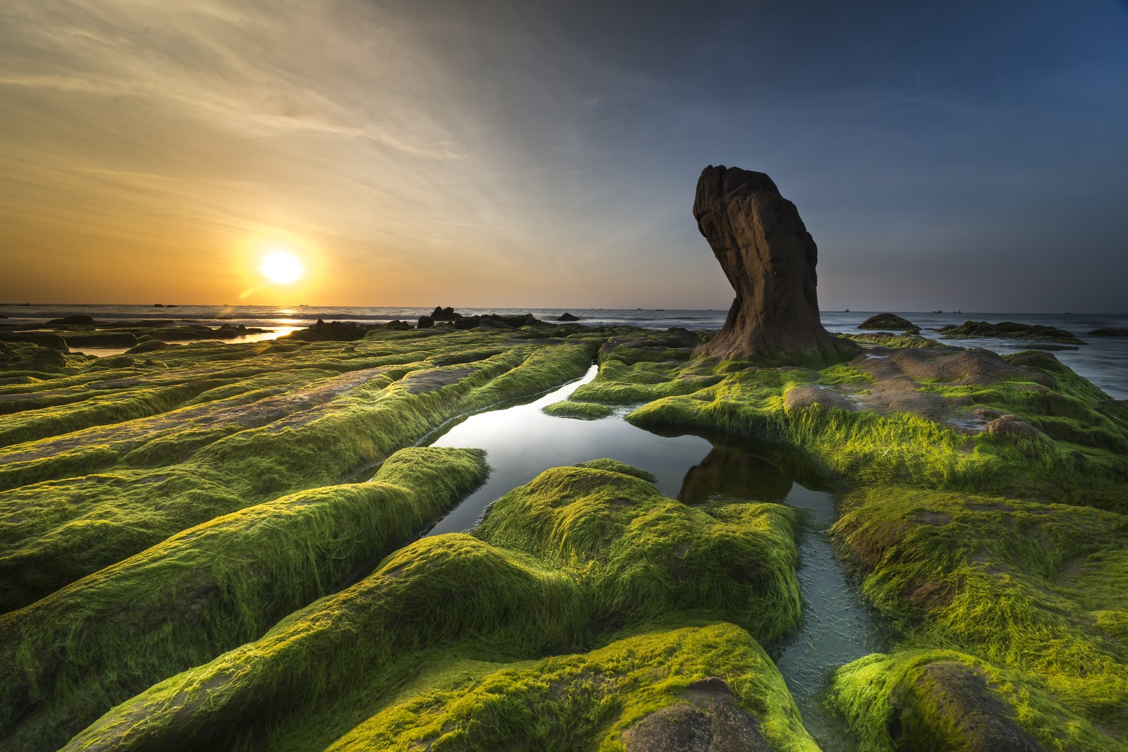 A close up of a rock covered in green moss near the ocean (algae, cloud, water resources, water, ecoregion)