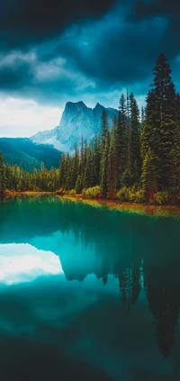 reflection, water, cloud, mountain, plant wallpaper