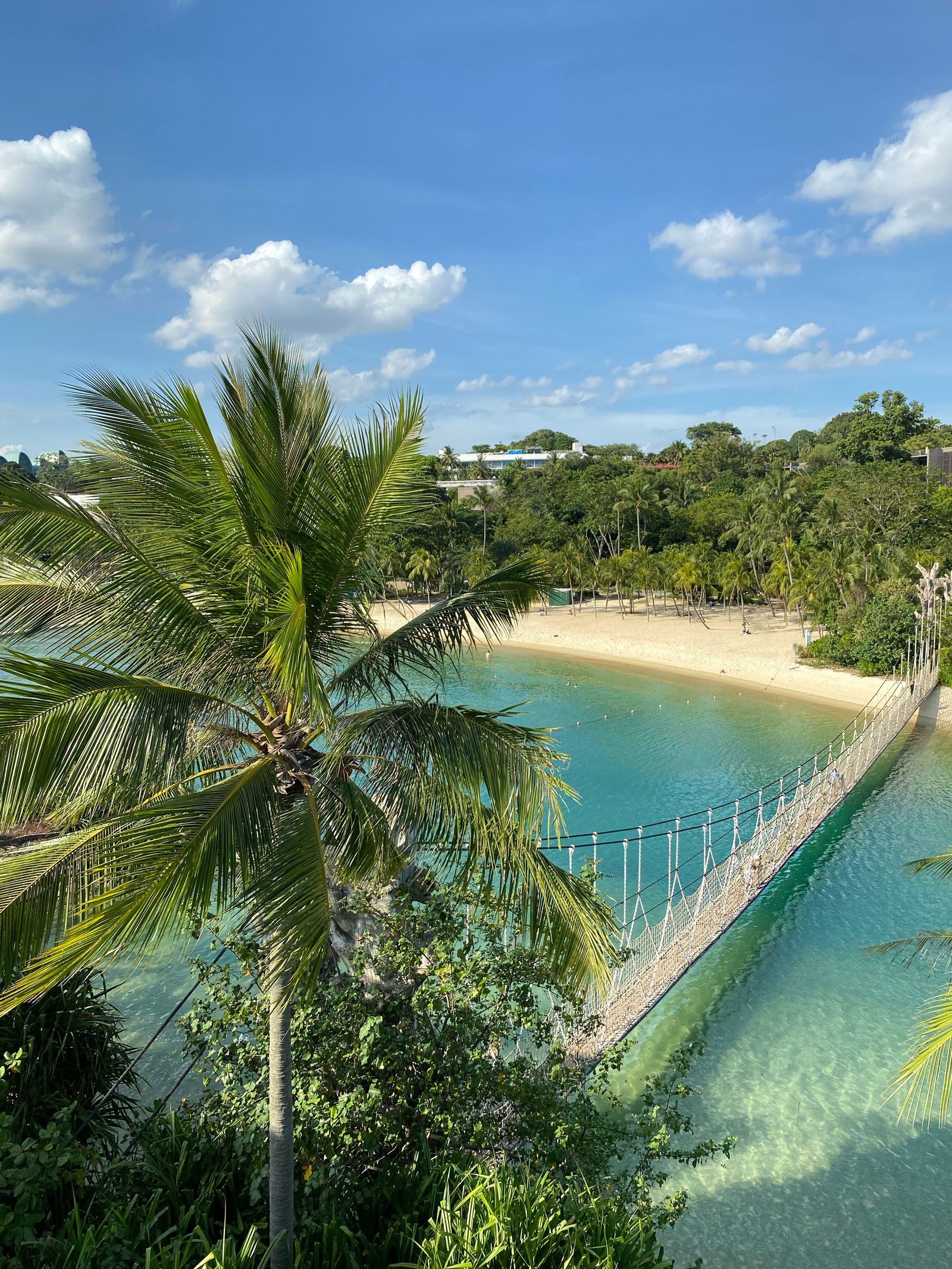 Araffe bridge over a body of water with a beach in the background (nature, palm trees, science, body of water, vegetation)