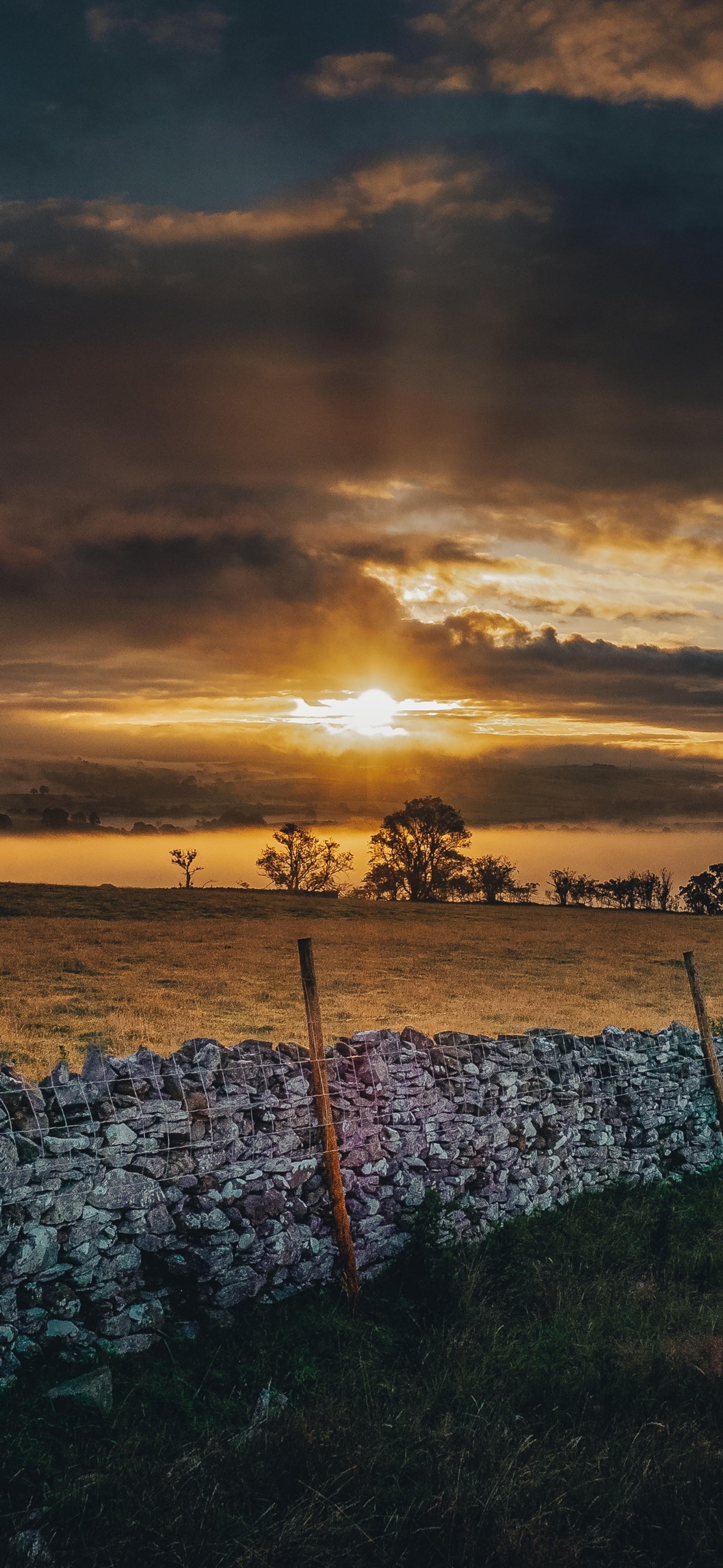 Pôr do sol sobre um campo com uma parede de pedra e uma árvore. (nuvem, luz solar, atmosfera, planta, resplendor)