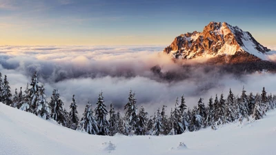 Majestätischer schneebedeckter Berg, der über einem Meer von Wolken in einer ruhigen Winterlandschaft aufsteigt.