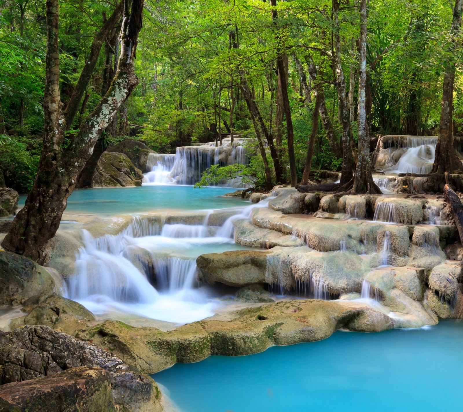 Una cascada en la jungla con agua azul y árboles (bosque, cascadas)