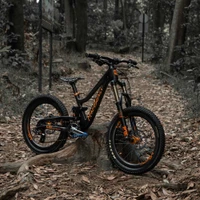 Mountain bike em uma trilha florestal serena