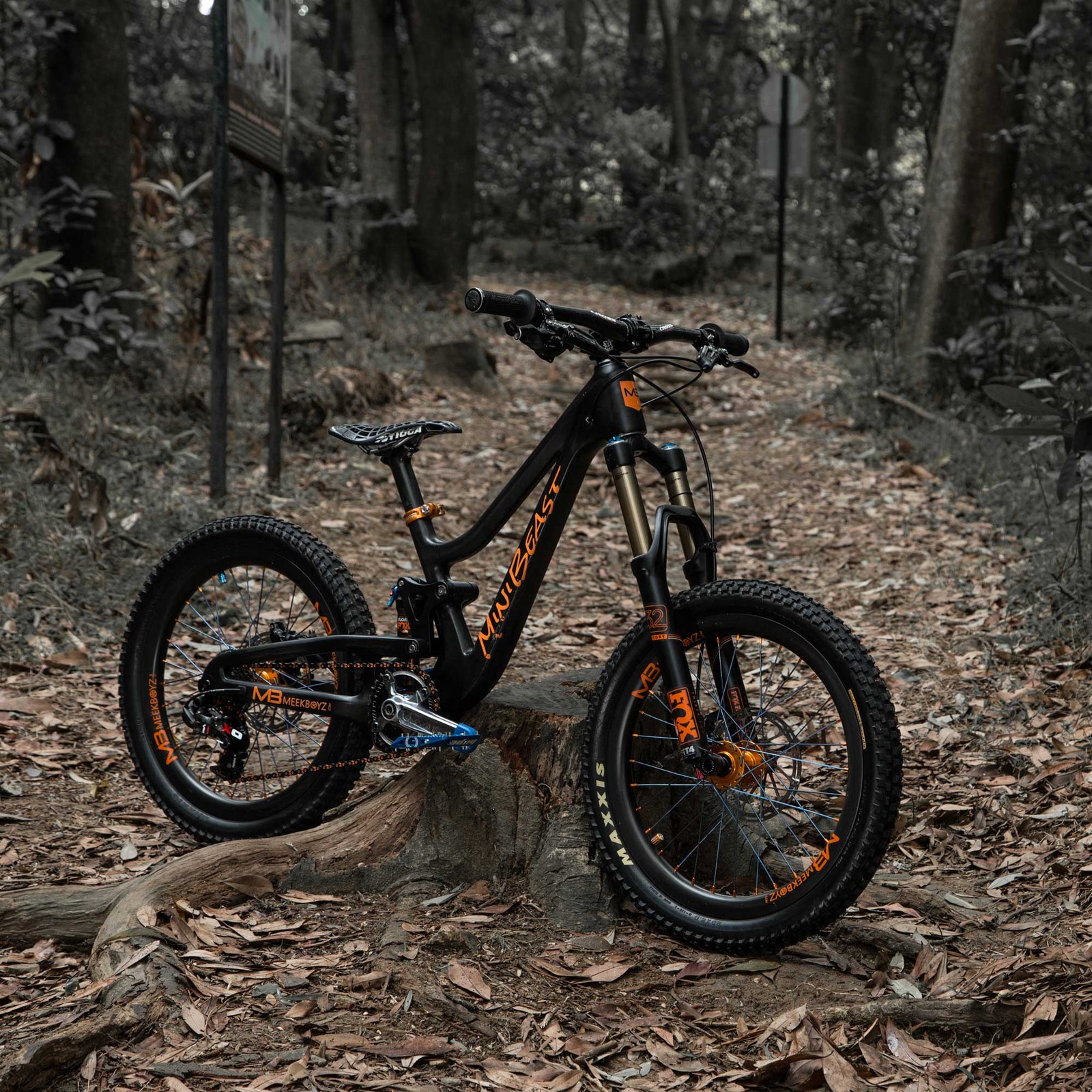 Baixar papel de parede bike for downhill, bicicleta