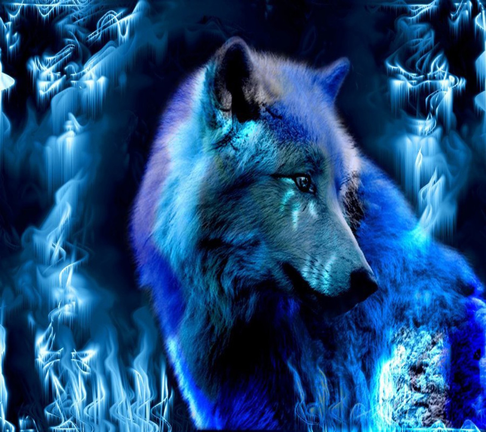 beautiful, wolf wallpaper